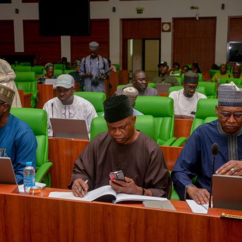 WhatsApp Image 2026-02-12 at 14.33.45