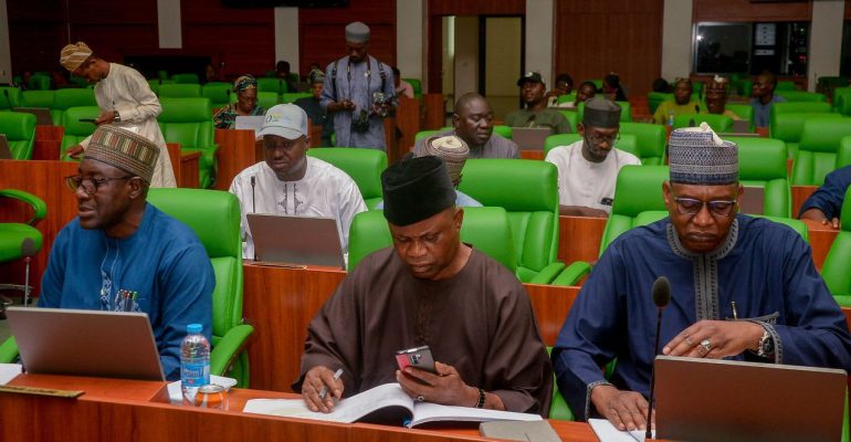 WhatsApp Image 2026-02-12 at 14.33.45